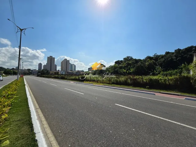 Imagem: EXCELENTE ÁREA COM 12.000M² A VENDA NA