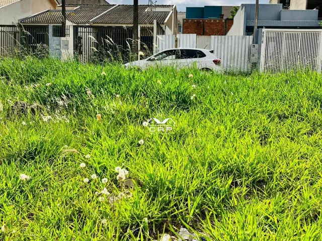 Imagem: Lote à Venda em Cascavel-PR / Loteamento