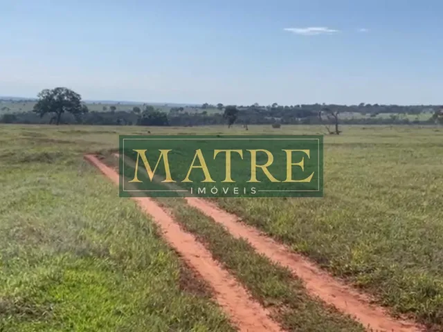 Imagem 1: FAZENDA RURAL em INOCÊNCIA - MS, Zona Rural