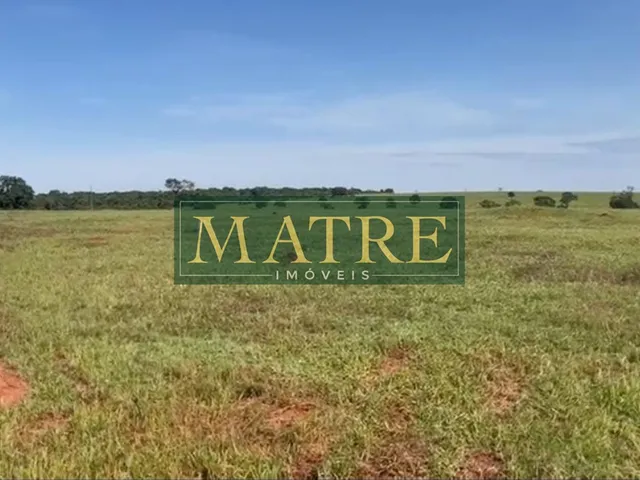 Imagem 2: FAZENDA RURAL em INOCÊNCIA - MS, Zona Rural