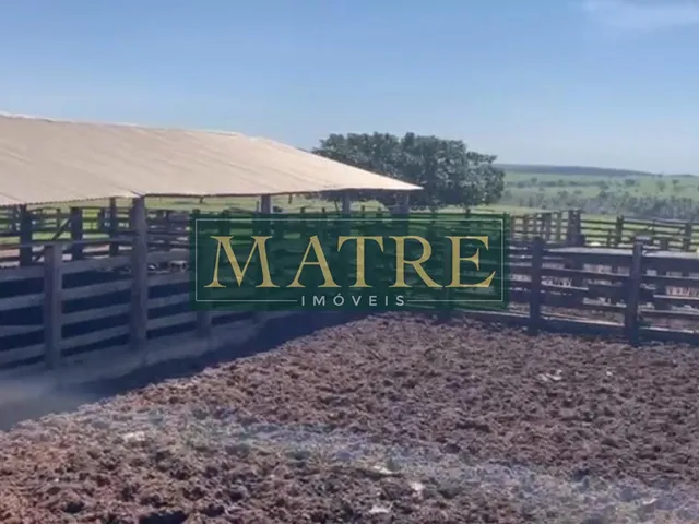 Imagem 4: FAZENDA RURAL em INOCÊNCIA - MS, Zona Rural