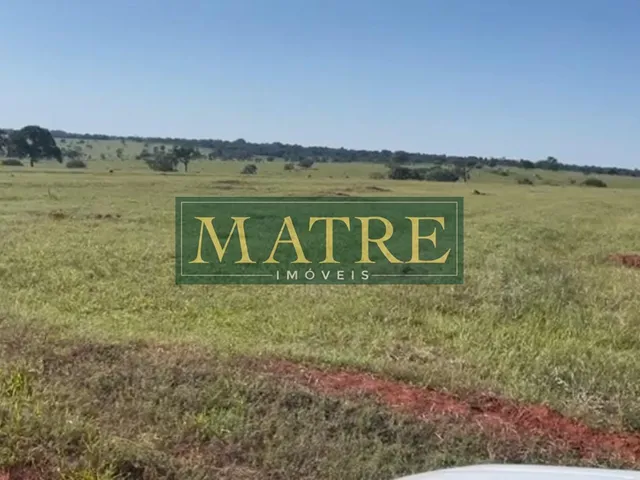 Imagem 7: FAZENDA RURAL em INOCÊNCIA - MS, Zona Rural