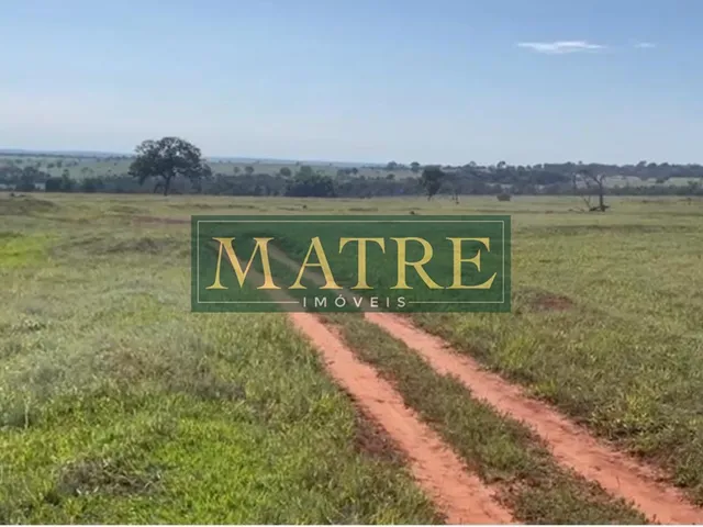 Imagem 8: FAZENDA RURAL em INOCÊNCIA - MS, Zona Rural