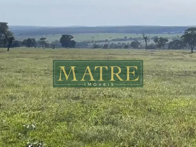 Imagem 9: FAZENDA RURAL em INOCÊNCIA - MS, Zona Rural