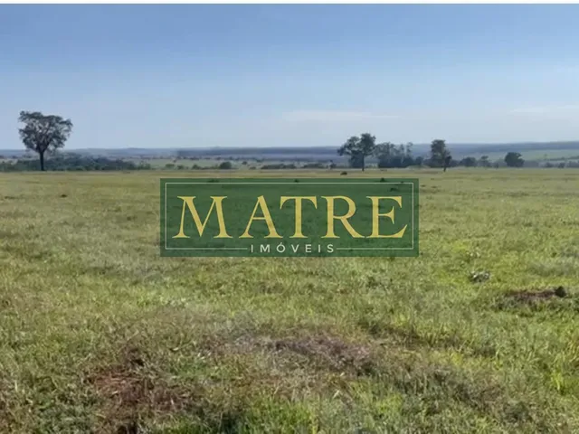 Imagem 10: FAZENDA RURAL em INOCÊNCIA - MS, Zona Rural