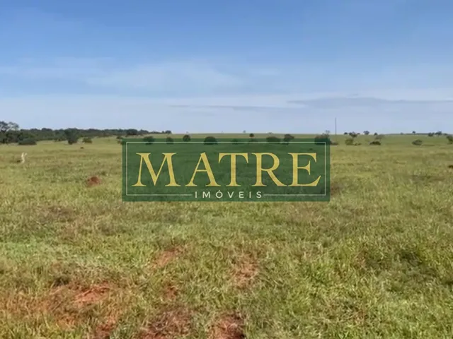 Imagem 11: FAZENDA RURAL em INOCÊNCIA - MS, Zona Rural