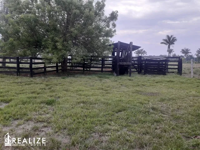 Imagem: SITIO RURAL em CANDEIAS DO JAMARI - RO