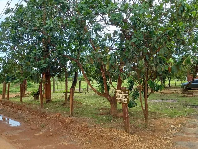 Imagem: Vende-se um sítio com 21 hectares