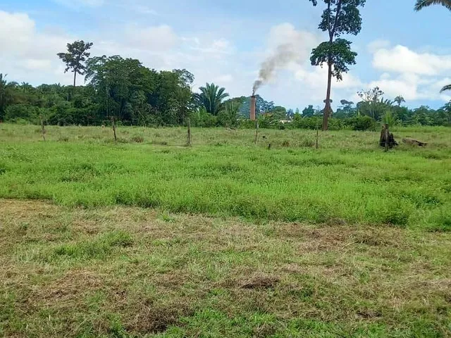 Imagem 4: Vende-se um sítio com 21 hectares