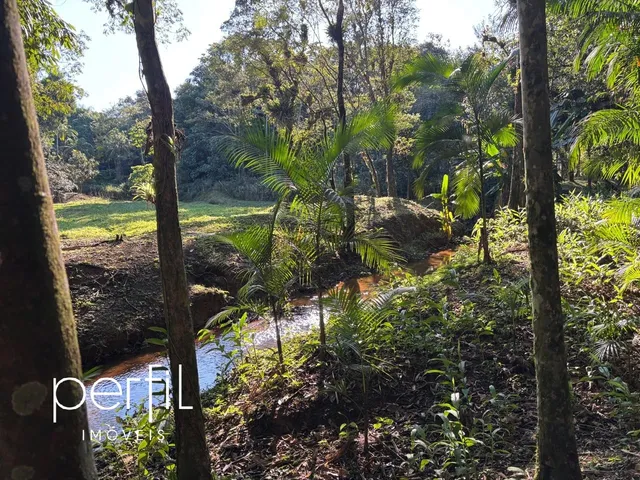 Imagem 3: Chácara à venda em Joinville-SC, bairro Vila Nova com 20.000,00 m² de área! Venha