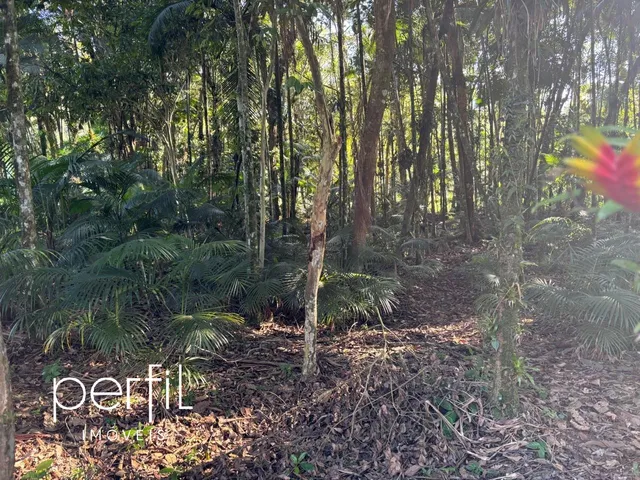 Imagem 6: Chácara à venda em Joinville-SC, bairro Vila Nova com 20.000,00 m² de área! Venha