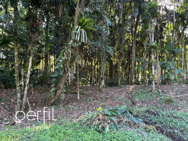 Imagem 9: Chácara à venda em Joinville-SC, bairro Vila Nova com 20.000,00 m² de área! Venha