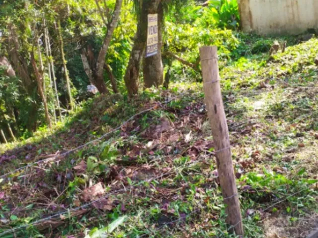 Imagem 7: Terreno à venda no Glória em Joinville-SC com 450,00 m² de área! Imperdível