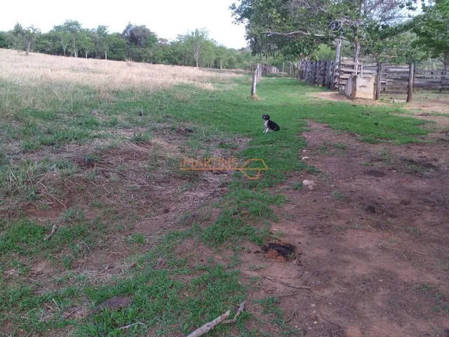 Imagem: Casa Alto Padrão na Região Serra do Barracão