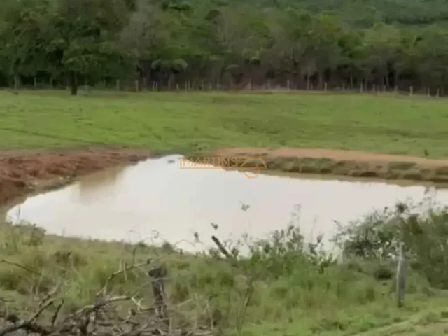 Imagem: Fazenda Pecuária á Venda