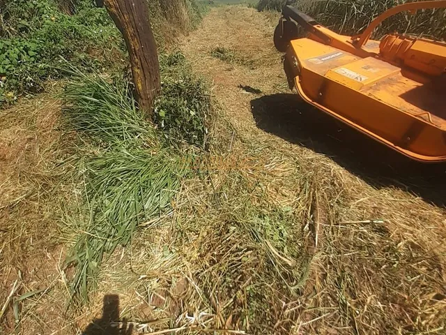 Imagem: Área à venda no bairro Zona Rural - Araguari/MG