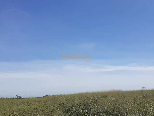 Imagem 8: Área à venda no bairro Zona Rural - Araguari/MG