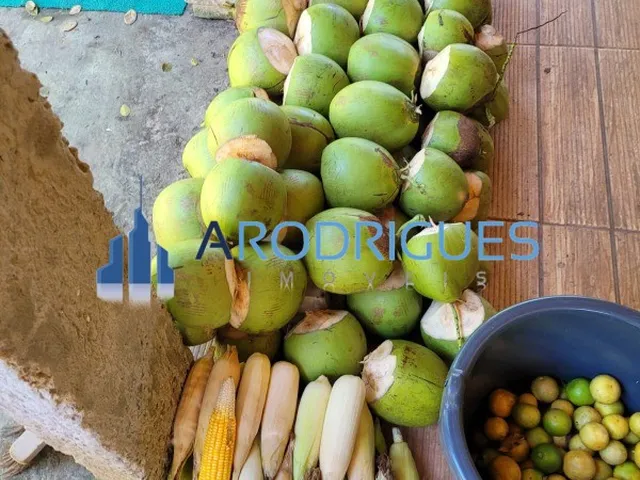 Imagem: Sítio em Condomínio Barra de Pojuca