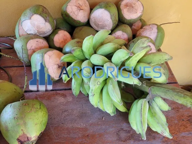 Imagem 4: Sítio em Condomínio Barra de Pojuca - Camaçari Documento de Compra e Venda