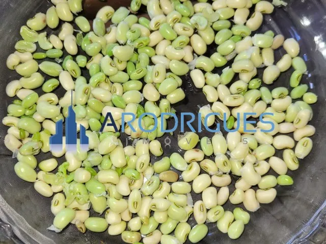Imagem 10: Sítio em Condomínio Barra de Pojuca - Camaçari Documento de Compra e Venda