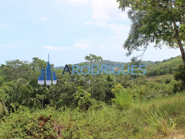 Imagem 12: Fazenda à Venda em Monte Gordo 201.000 mil m² com 14 Cabeças de Gado e Mata Preservada