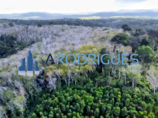 Imagem: Fazenda Para Venda em Camamu 106 Hectares
