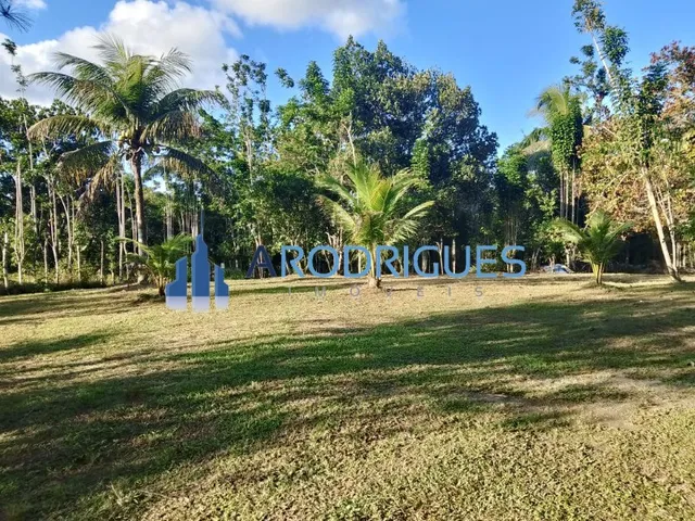 Imagem 7: SITIO RURAL em Candeias - BA, Fazenda mamão