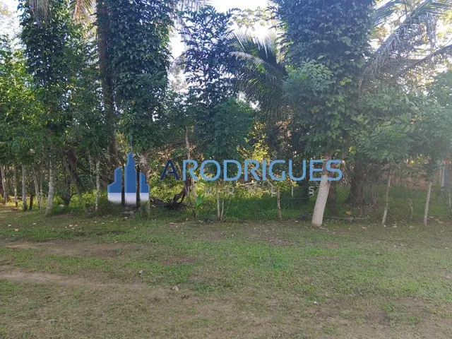 Imagem 10: SITIO RURAL em Candeias - BA, Fazenda mamão