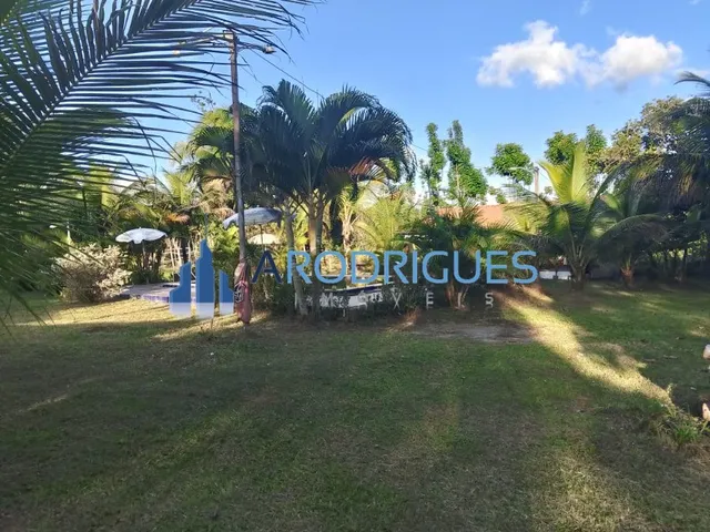 Imagem 13: SITIO RURAL em Candeias - BA, Fazenda mamão