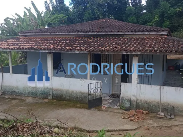 Imagem: CHACARA RURAL em CANDEIAS - BA, Mamão