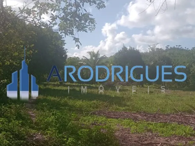 Imagem 10: CHACARA RURAL em CANDEIAS - BA, Mamão