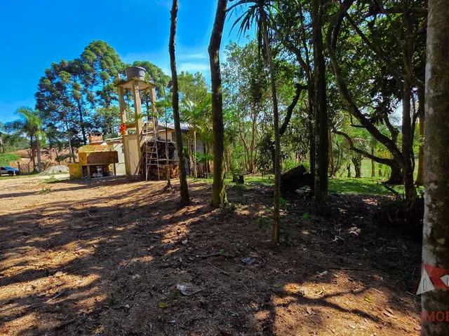 Imagem 8: CHACARA RURAL em SÃO JOSÉ DOS PINHAIS - PR, Campestre da Faxina