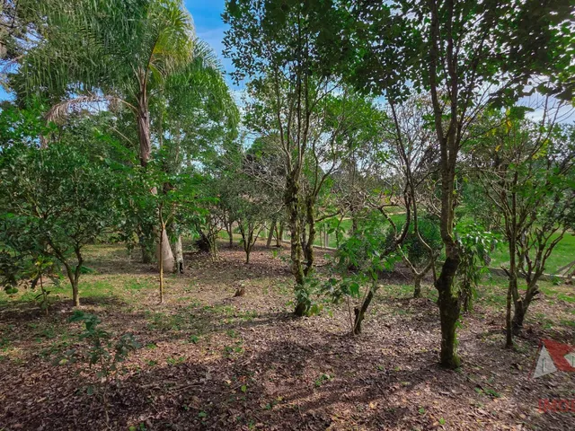 Imagem 11: CHACARA RURAL em SÃO JOSÉ DOS PINHAIS - PR, Campestre da Faxina