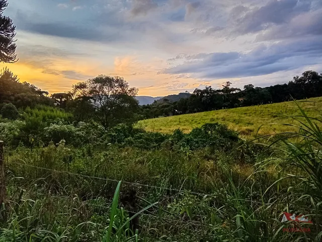 Imagem: Excelente Chácara a Venda