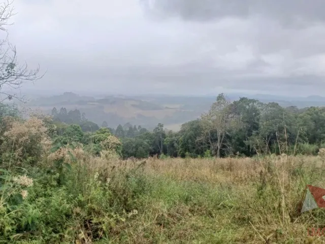 Imagem 3: Chácara a Venda