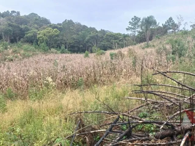 Imagem 6: Chácara a Venda