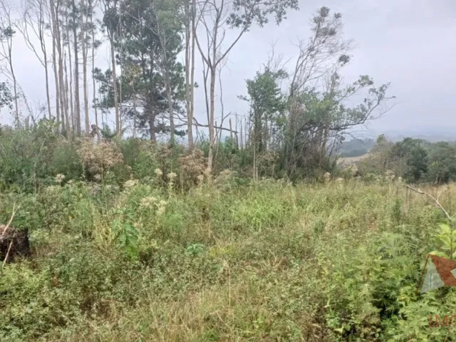 Imagem 9: Chácara a Venda