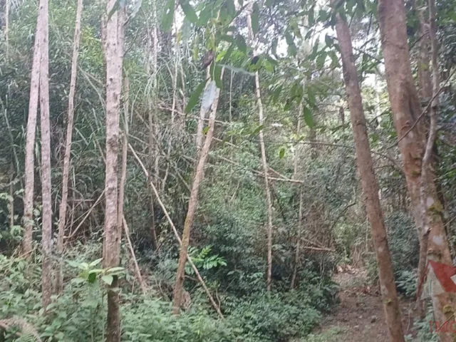 Imagem 12: Chácara a Venda