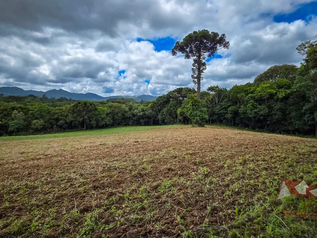 Imagem 2: Chácara a Venda Sem Benfeitorias