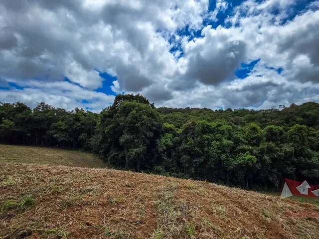 Imagem 8: Chácara a Venda Sem Benfeitorias