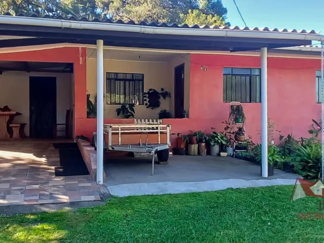 Imagem: CHACARA RURAL em TIJUCAS DO SUL - PR, Campo