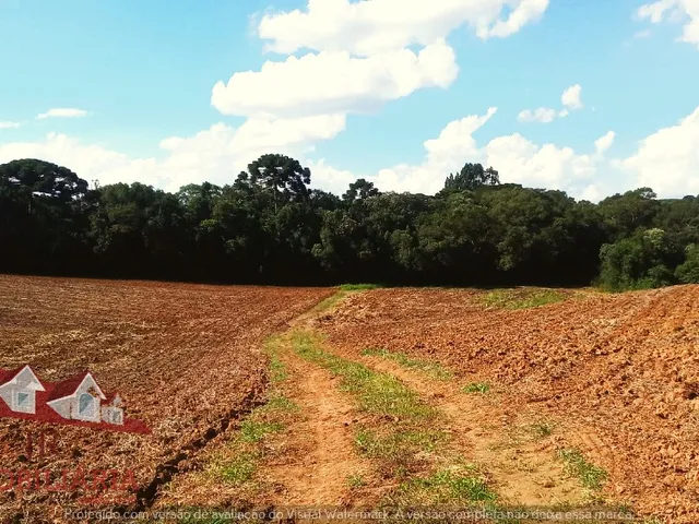 Imagem: Chácara sem benfeitorias a Venda