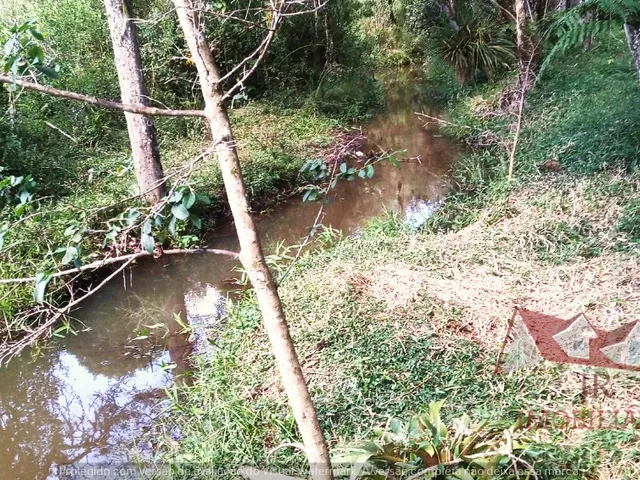 Imagem 4: Chácara sem benfeitorias a Venda