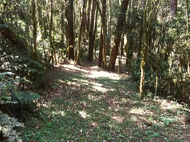 Imagem 7: Chácara sem benfeitorias a Venda