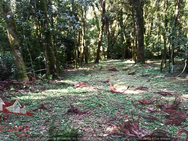 Imagem 10: Chácara sem benfeitorias a Venda