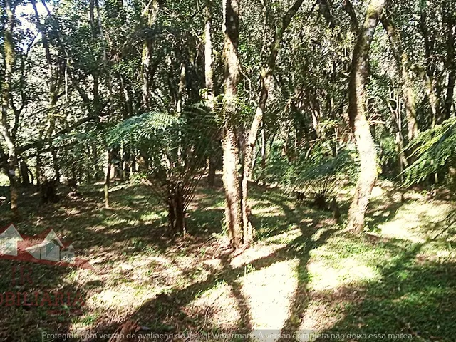 Imagem 13: Chácara sem benfeitorias a Venda