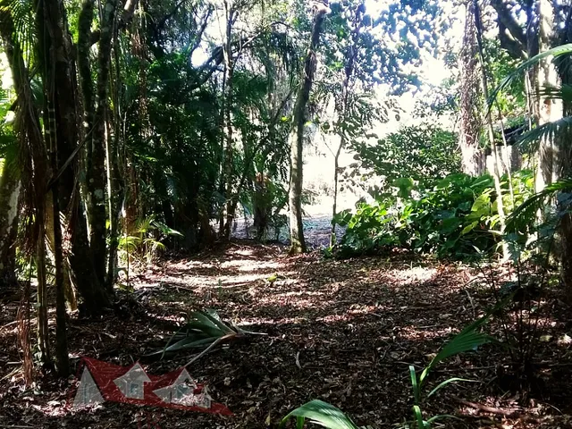 Imagem 4: Chácara sem benfeitorias a Venda