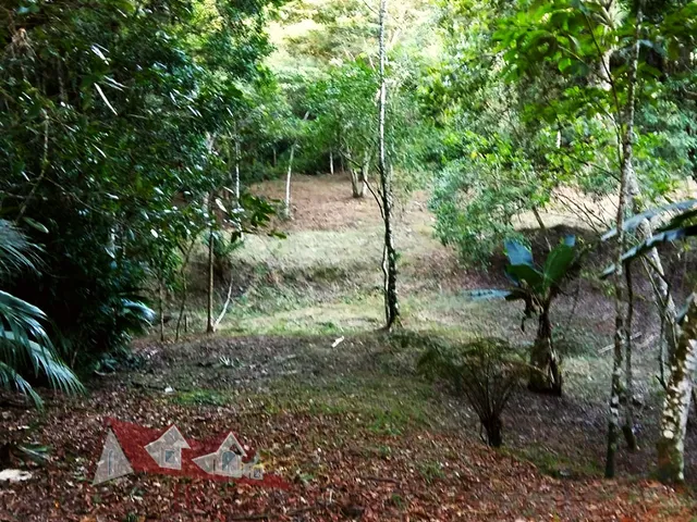 Imagem 7: Chácara sem benfeitorias a Venda