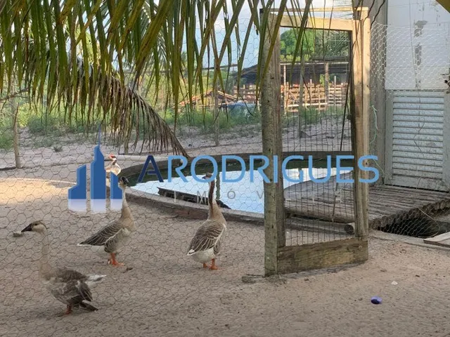 Imagem 7: SITIO RURAL em IMBASSAÍ - BA, IMBASSAI