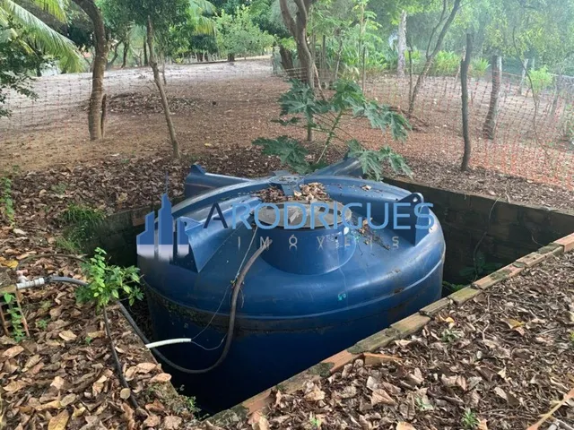 Imagem 10: SITIO RURAL em IMBASSAÍ - BA, IMBASSAI